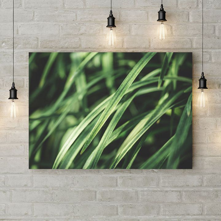Картина на холсте Зеленая трава, 50х35 см