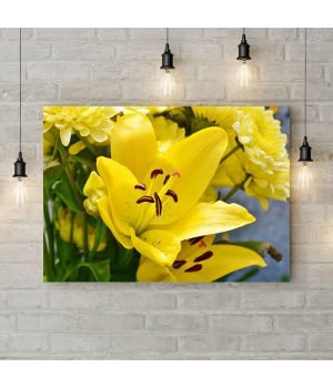 Картина на холсте Желтая лилия, 50х35 см