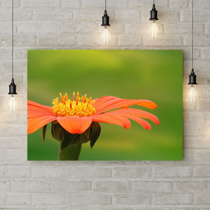 Картина на холсте Оранжевый цветок на зеленом фоне, 50х35 см
