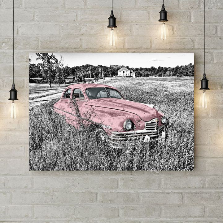 Картина на холсте Красное авто в поле, 50х35 см