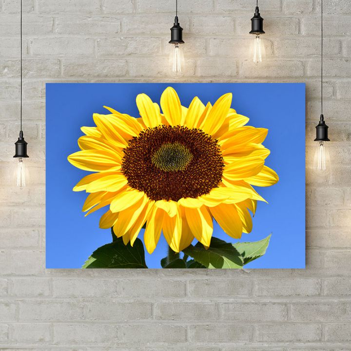 Картина на холсте Солнечный подсолнух, 50х35 см