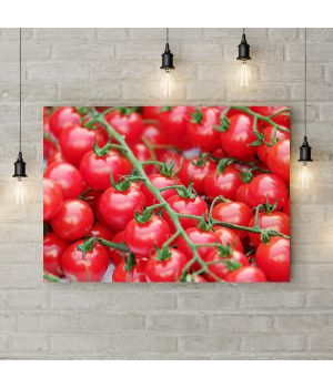 Картина на холсте Ветви помидоров, 50х35 см