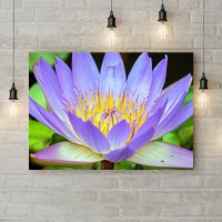 Картина на холсте Фиолетовая кувшинка, 50х35 см