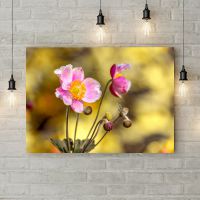 Картина на холсте Розовый цветок, 50х35 см