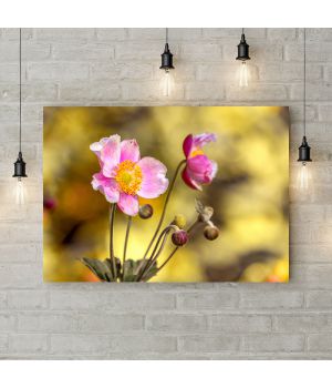 Картина на холсте Розовый цветок, 50х35 см