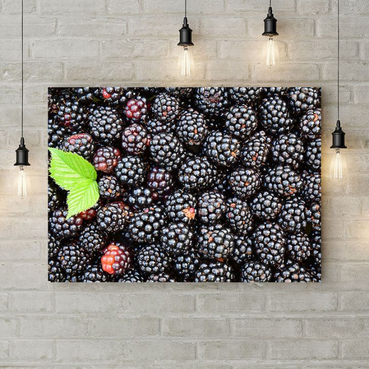 Картина на холсте Blackberry, 50х35 см