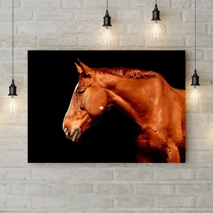 Картина на холсте Взгляд лошади, 50х35 см