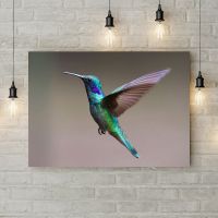 Картина на холсте Колибри, 50х35 см