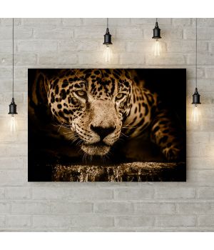 Картина на холсте Взгляд ягуара, 50х35 см