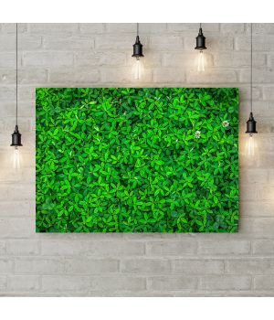 Картина на холсте Фон из зеленых цветов 1, 50х35 см