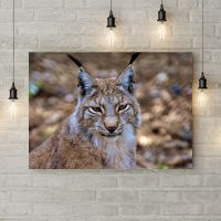 Картина на холсті 69646, 50х35 см