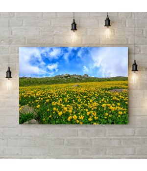 Картина на холсте Желтые цветы в горах, 50х35 см