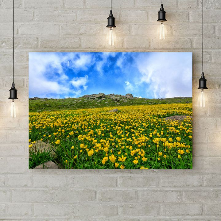Картина на холсте Желтые цветы в горах, 50х35 см