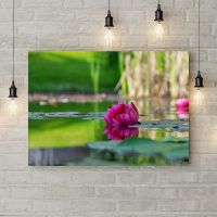 Картина на холсте Кувшинка в воде 1, 50х35 см