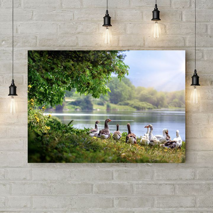 Картина на холсте Гуси у реки, 50х35 см