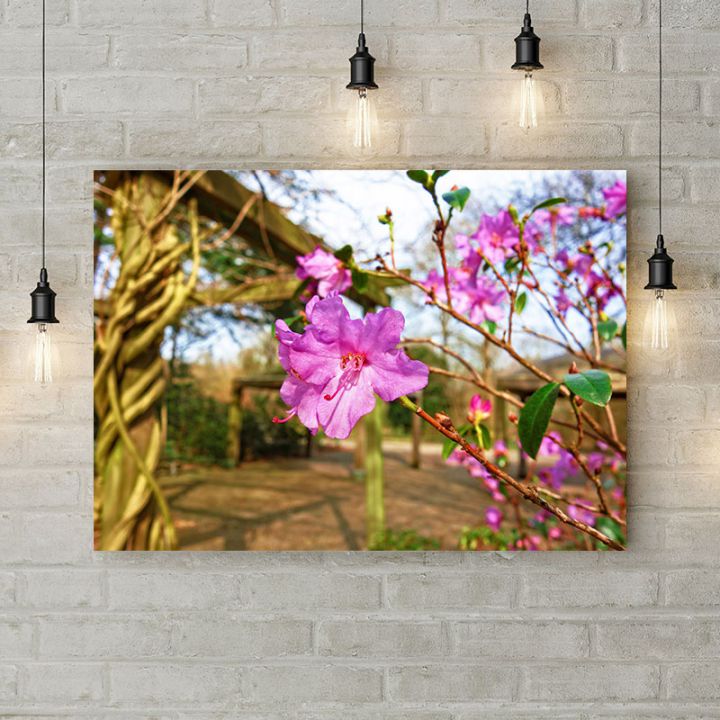 Картина на холсте Розовая азалия, 50х35 см