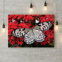 Картина на полотні Білий метелик, 50х35 см