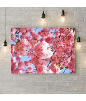 Картина на холсте Розовые сакуры, 50х35 см