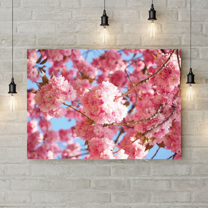 Картина на холсте Розовые сакуры, 50х35 см