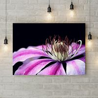 Картина на холсте Clematis, 50х35 см