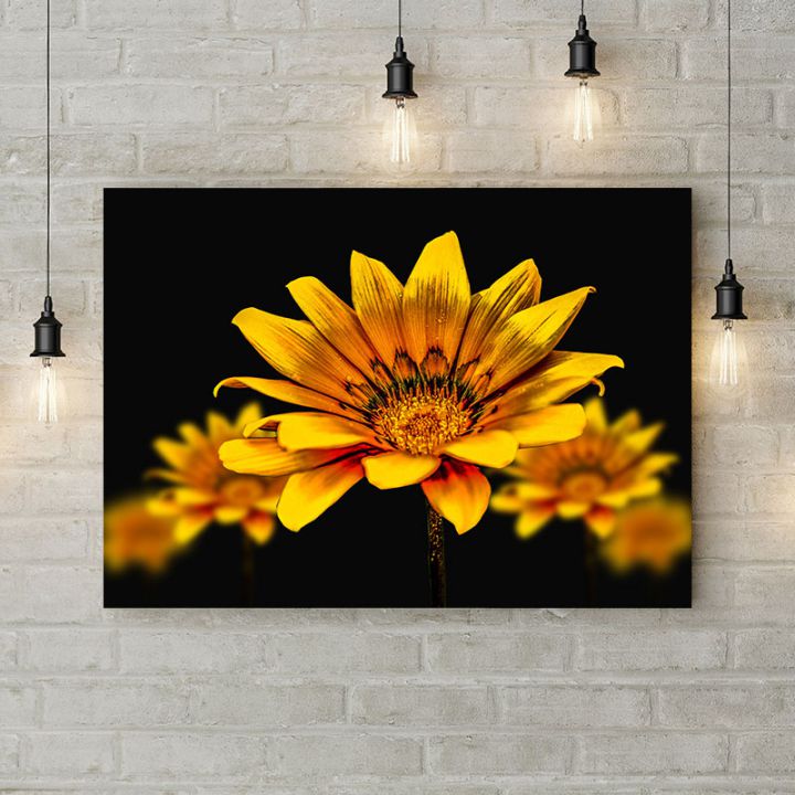 Картина на холсте Ярко-желтые цветы на черном фоне, 50х35 см