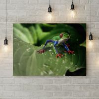 Картина на холсте Лягушка на листе, 50х35 см