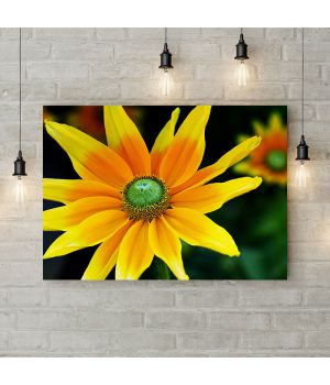 Картина на холсте Солнечный цветок, 50х35 см