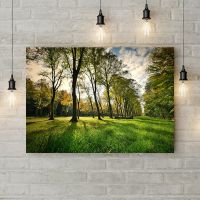 Картина на холсте Восход солнца в лесу, 50х35 см