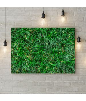 Картина на холсте Фон из зеленых цветов 2, 50х35 см