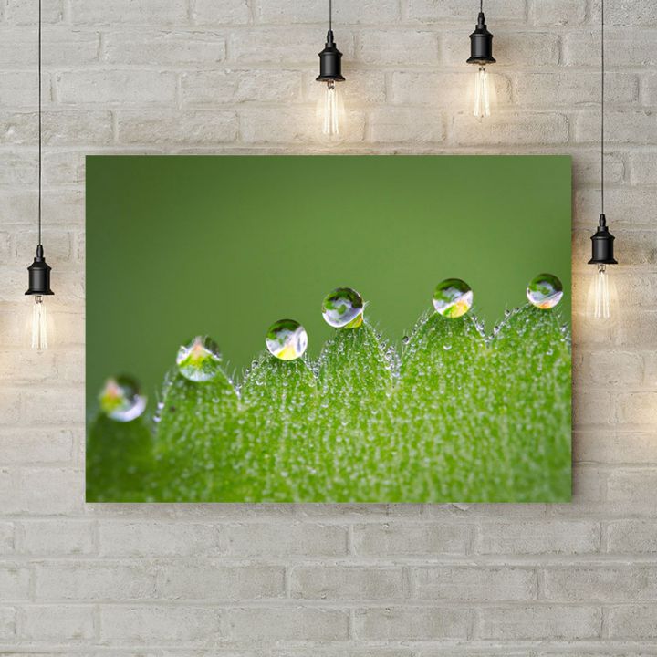 Картина на холсте Зеленая роса, 50х35 см