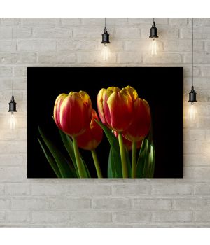 Картина на холсте Красно-желтые тюльпаны, 50х35 см