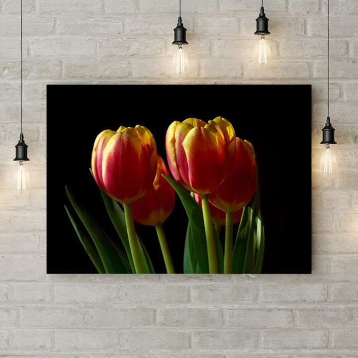 Картина на холсте Красно-желтые тюльпаны, 50х35 см