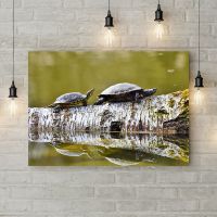 Картина на холсте Черепахи на дереве, 50х35 см