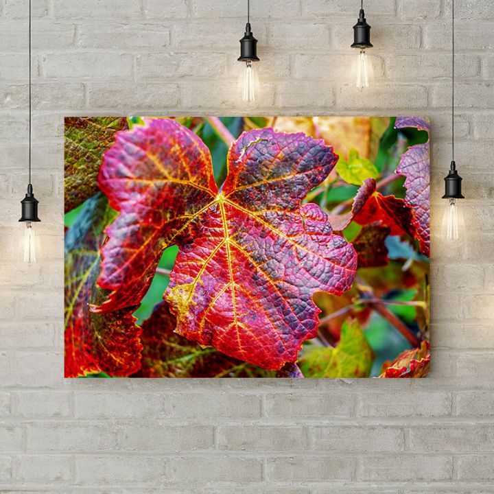 Картина на холсте Красные осенние листья 1, 50х35 см