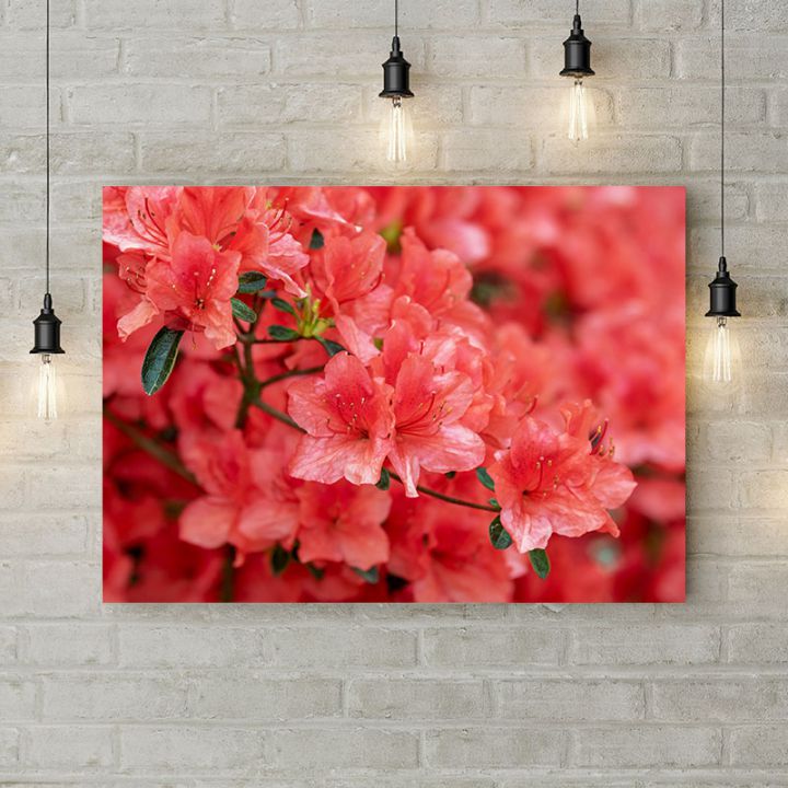 Картина на холсте Рододендрон розовый, 50х35 см
