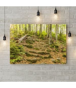 Картина на холсте Лесная тропа, 50х35 см