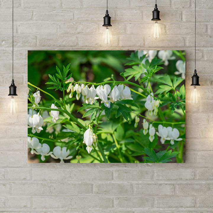 Картина на холсте Веточка белых цветков, 50х35 см