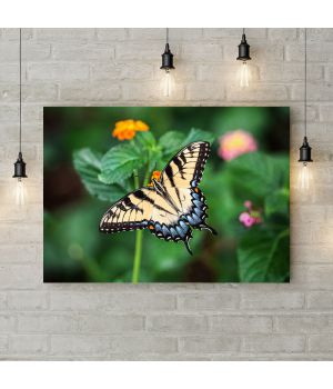 Картина на холсте Желто-синяя бабочка, 50х35 см