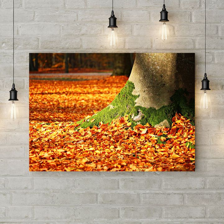 Картина на холсте Осенний мох, 50х35 см