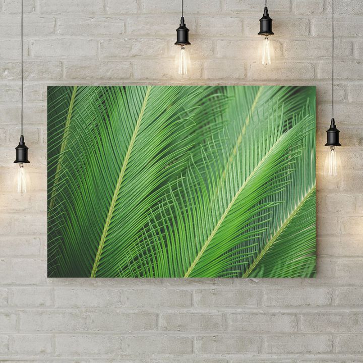 Картина на холсте Листья зеленой пальмы, 50х35 см