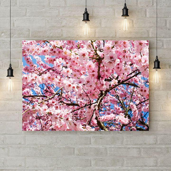 Картина на холсте Дерево сакуры, 50х35 см
