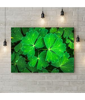 Картина на холсте Фон из зеленых цветов 3, 50х35 см