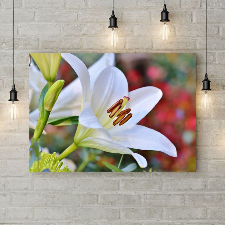 Картина на холсте Белая лилия, 50х35 см