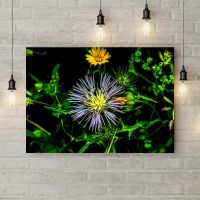 Картина на холсті 69698, 50х35 см