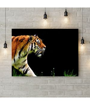 Картина на холсте Тигр на прогулке, 50х35 см