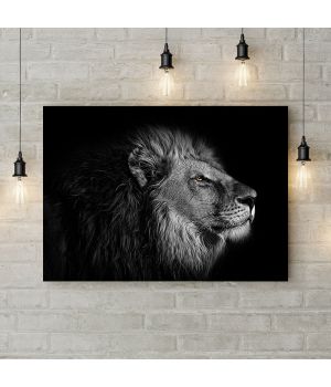 Картина на холсте Задумчивый лев, 50х35 см