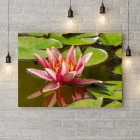 Картина на холсті 69948, 50х35 см