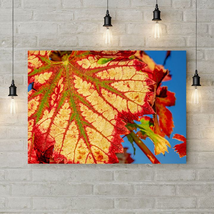 Картина на холсте Красные осенние листья 2, 50х35 см