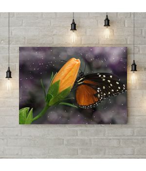 Картина на холсте Чёрно-оранжевая бабочка, 50х35 см