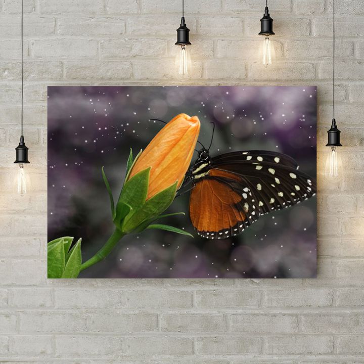 Картина на холсте Чёрно-оранжевая бабочка, 50х35 см